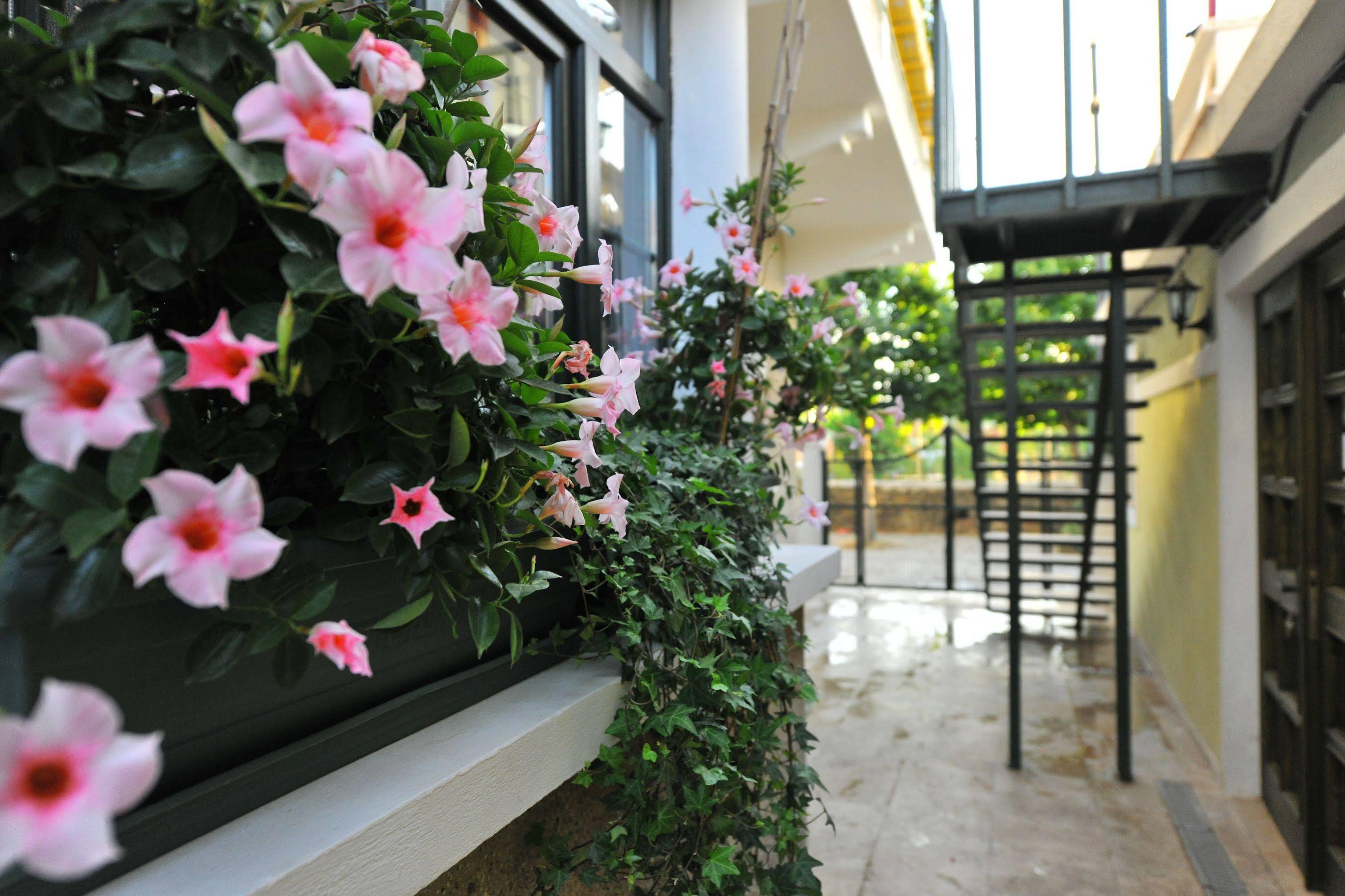 Petrino Goekceada Hotel&Kitchen İmroz エクステリア 写真
