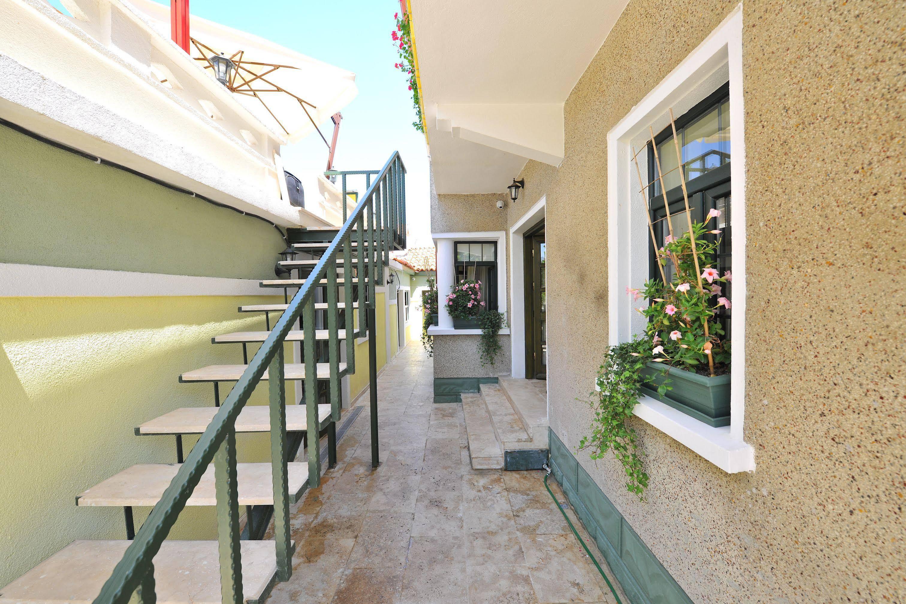 Petrino Goekceada Hotel&Kitchen İmroz エクステリア 写真